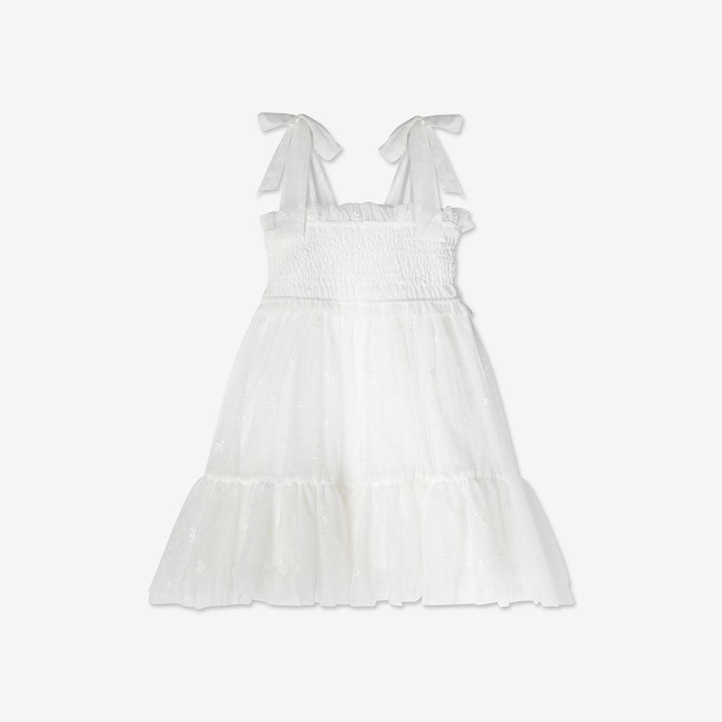 Embroidered Tulle Dress H