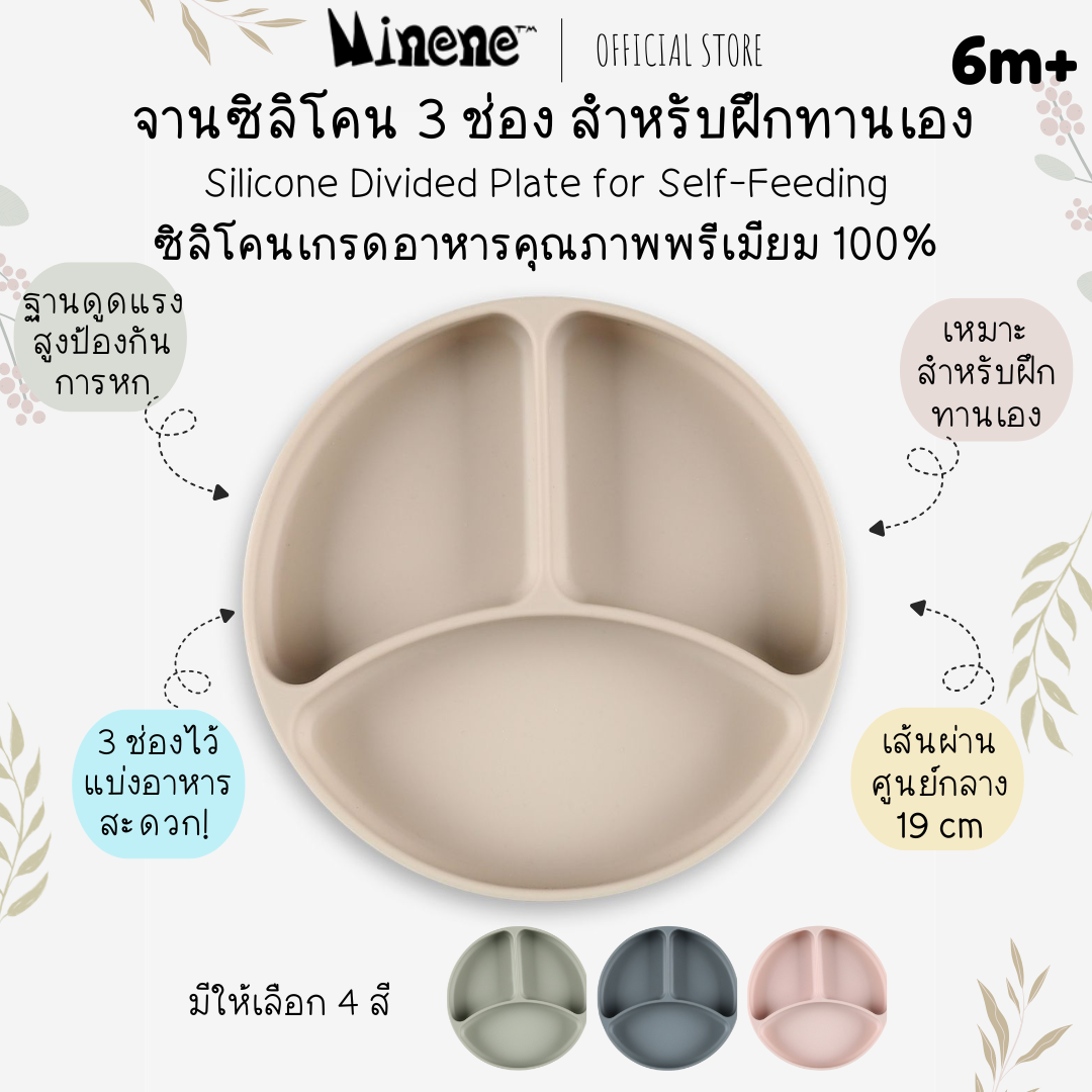 Divided Silicone Plate