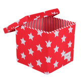 Square Multipurpose Box 29x29x29cm