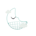 Moon Metal Hanger