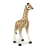 Standing Baby Giraffe